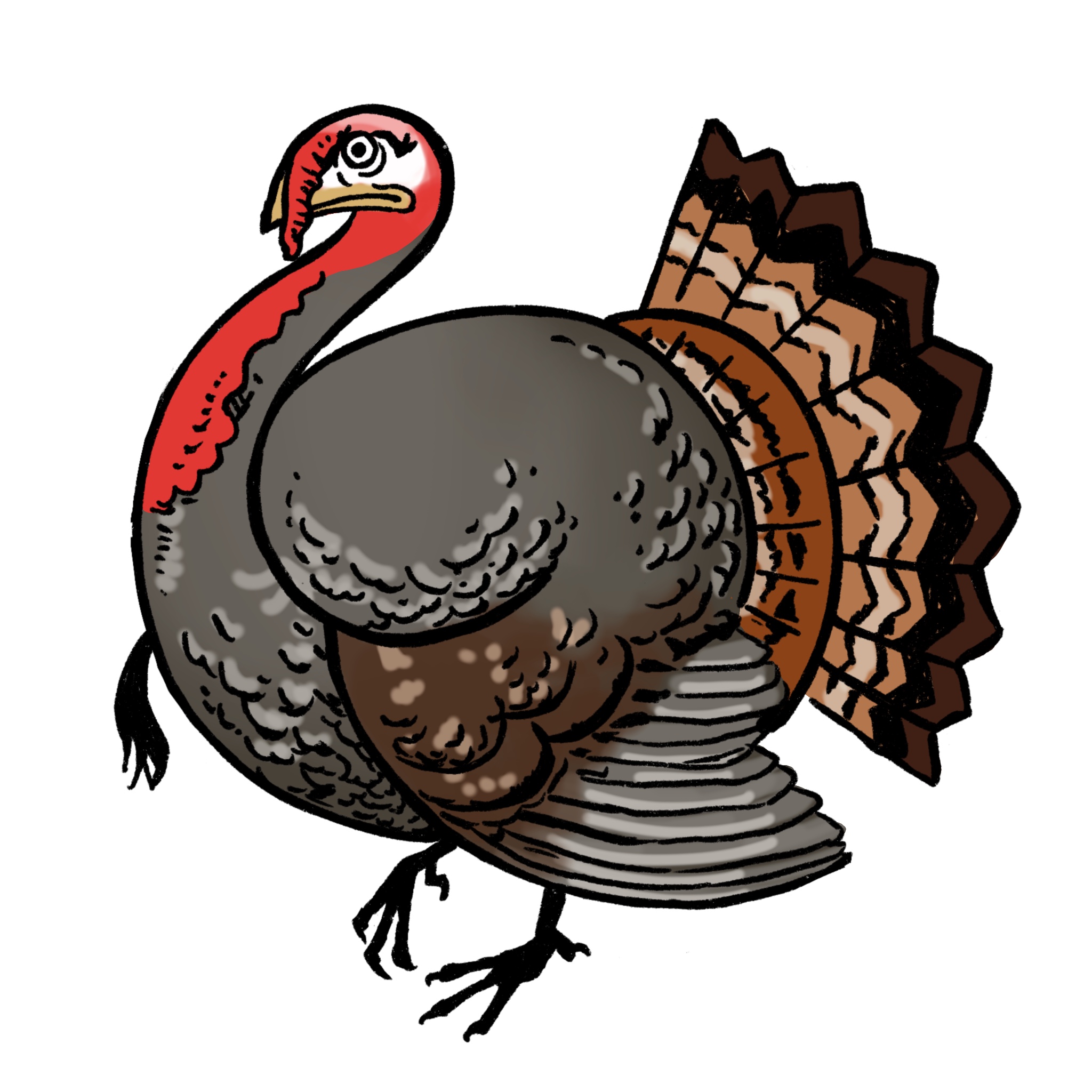 cute turkey drawings for kids