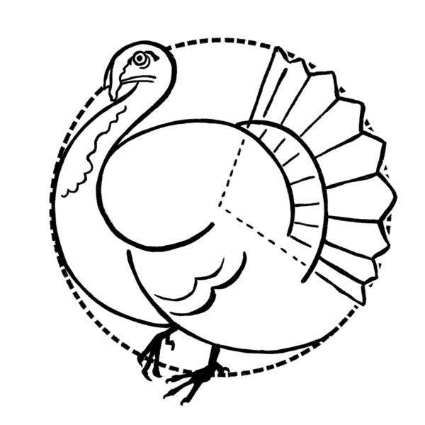 Turkey Drawing {7 Easy Steps}! - The Graphics Fairy