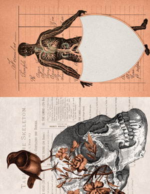 Antique Anatomy printable journal page