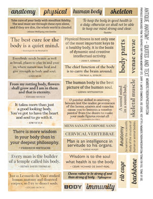 Vintage Antique Anatomy assorted printable quote sheet