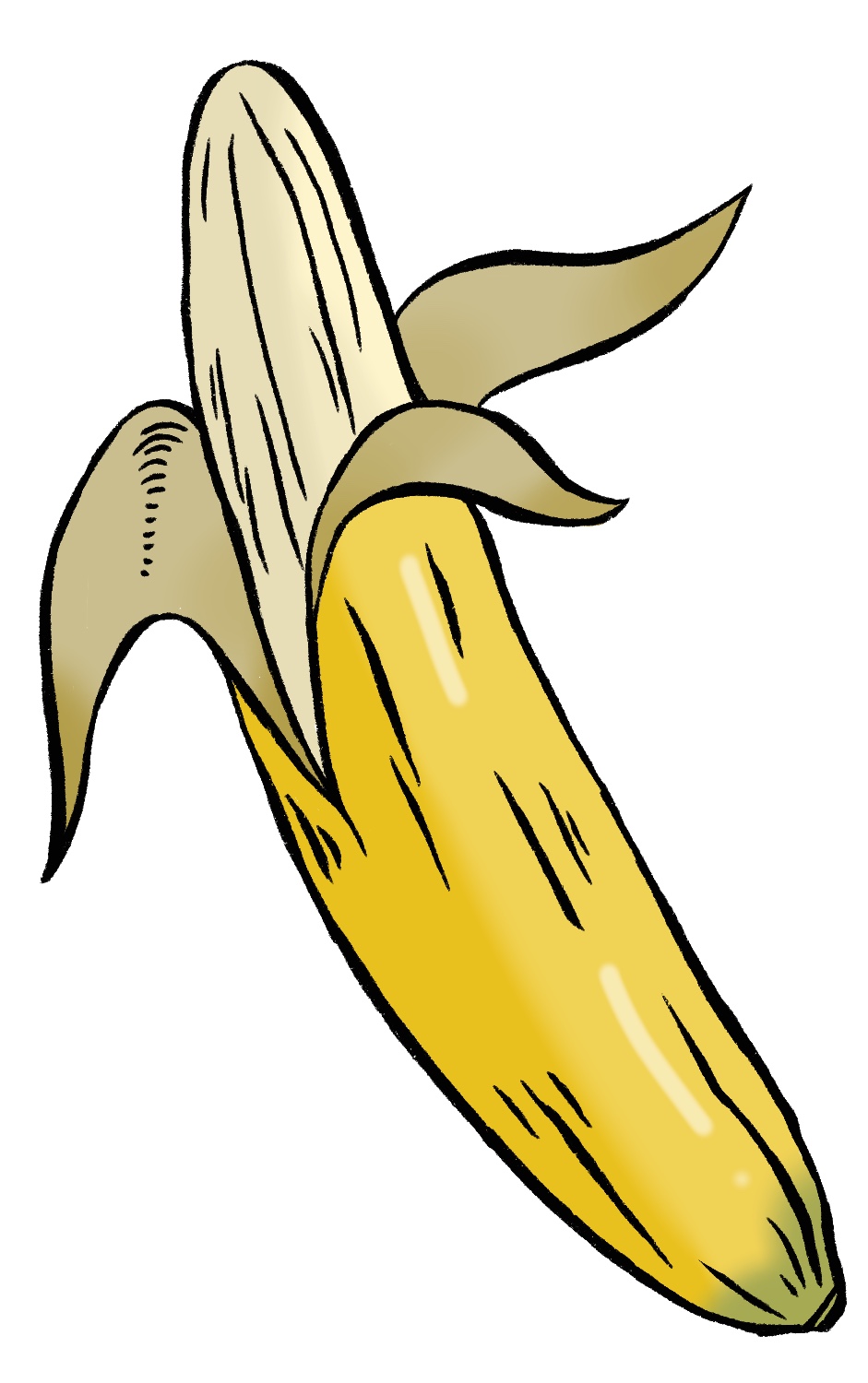 Pencil Drawing And Watercolor Paints Banana Fruit High-Res Vector Graphic -  Getty Images