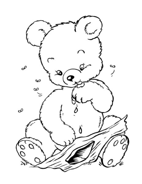 bear with honey coloring page