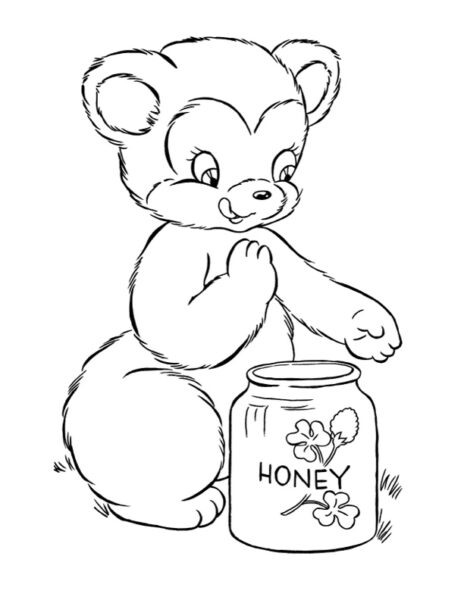 Bear eating honey coloring sheet