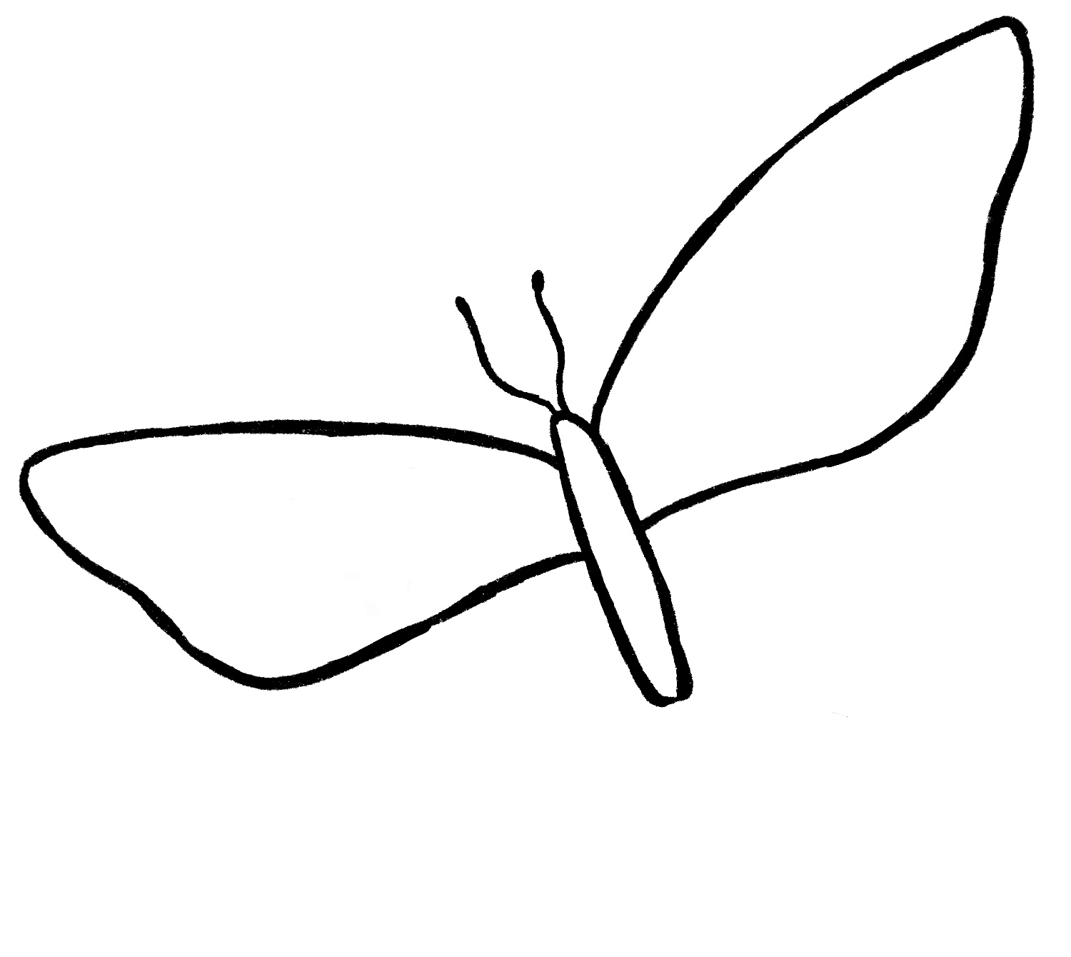 Butterfly Drawing Easy Step by Step