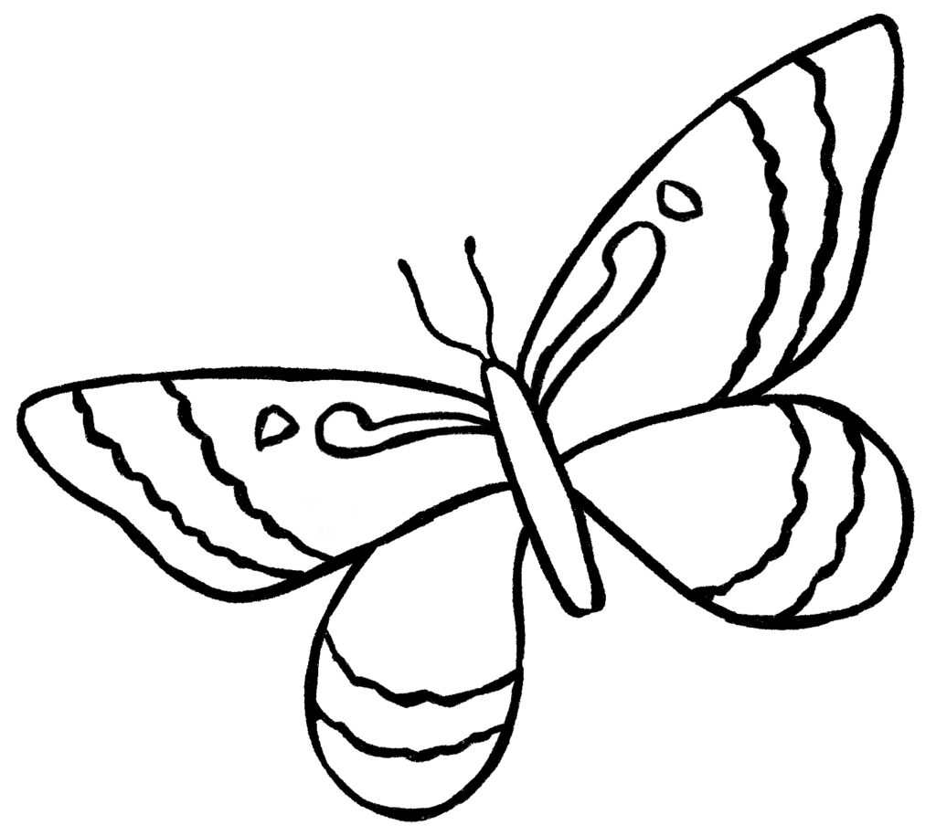 Butterfly Drawing {6 Easy Steps}! - The Graphics Fairy