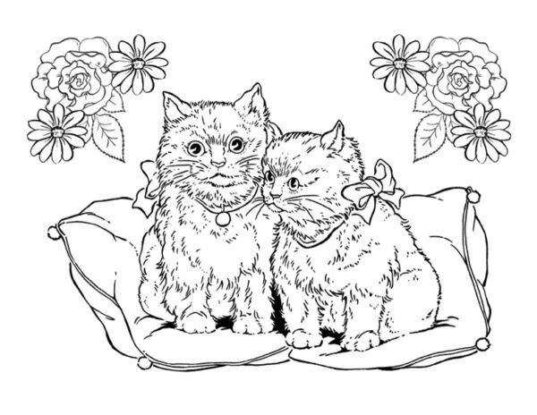 two cats in love sitting on pillows