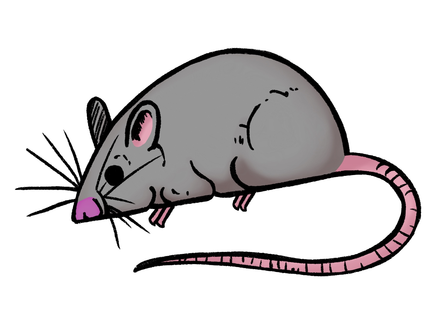 Mouse Drawing Stock Illustrations, Cliparts and Royalty Free Mouse Drawing  Vectors