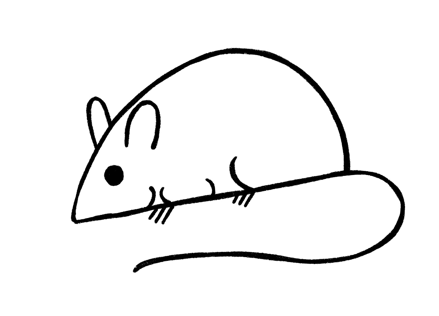 Mouse Drawing  How To Draw A Mouse Step By Step
