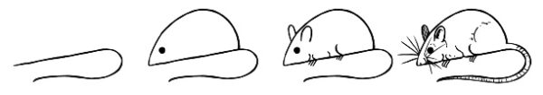 how to draw a mouse