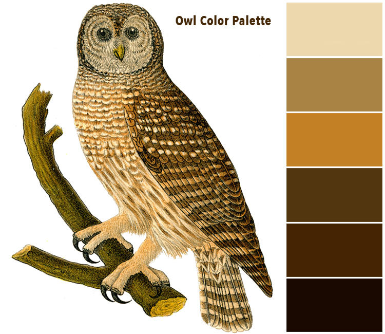 41 Colors That Go With Brown (Color Palettes) - Color Meanings