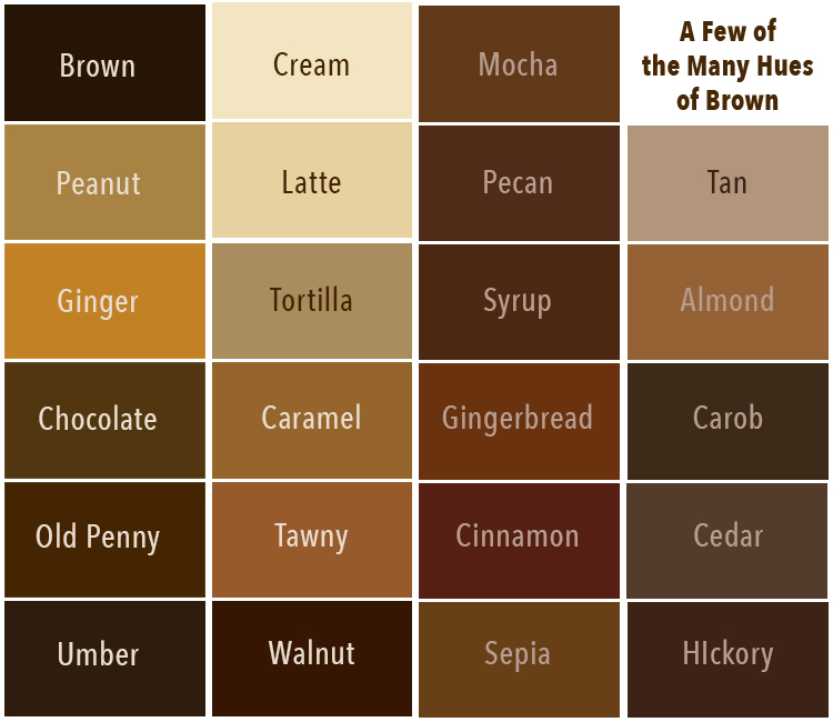 Some of the Many Hues of Brown