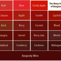 The Many Hues of Burgundy
