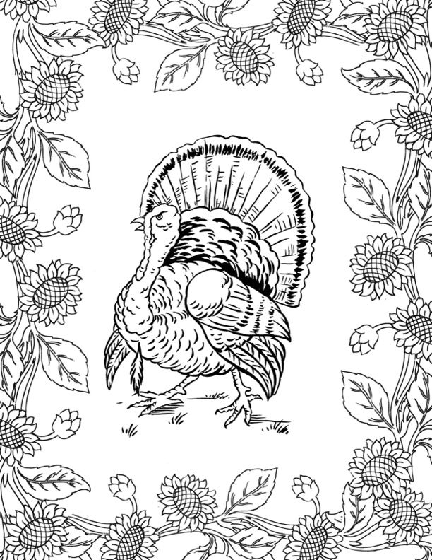 Turkey and sunflowers coloring sheet