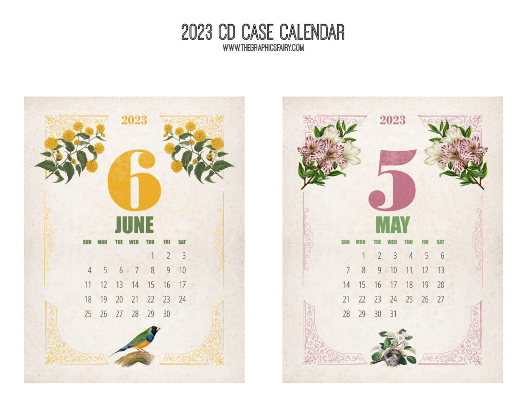 CD Calendar 2023