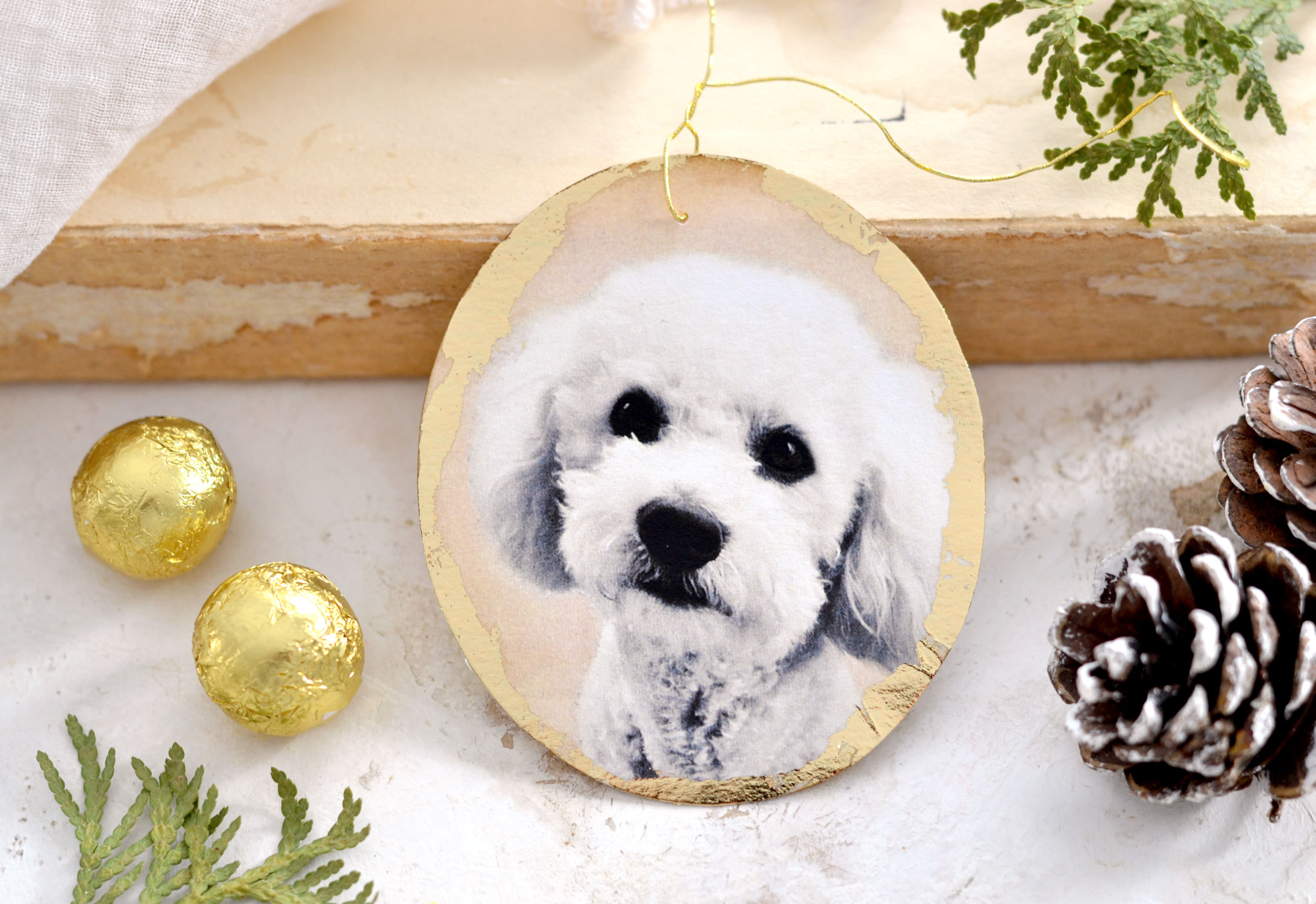 Personalized Christmas pet medallion