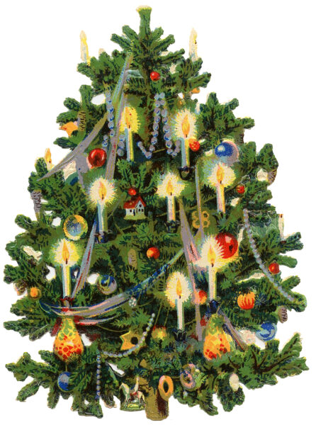 12 Christmas Tree Clipart! - The Graphics Fairy