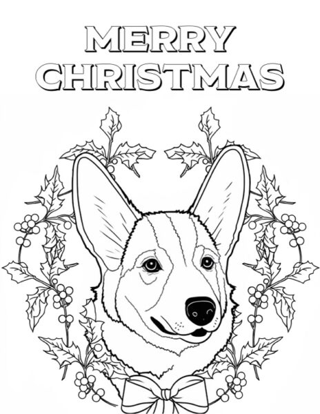 corgi with Merry Christmas greeting