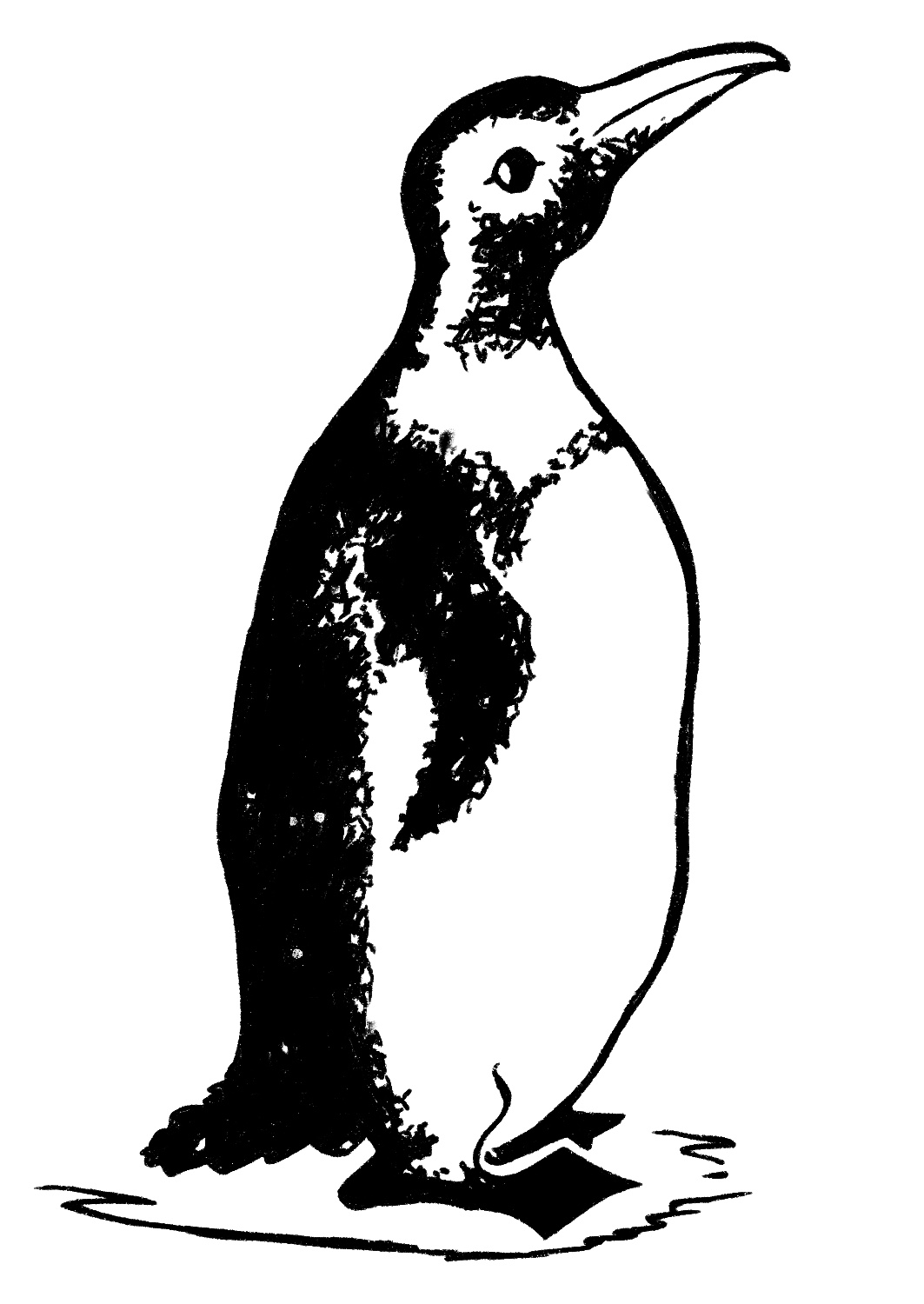 How to Draw a Cartoon Penguin (step by step) - Art by Ro