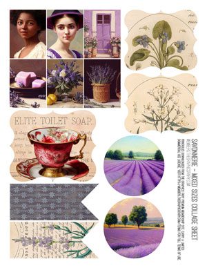 Savonnerie Mixed Sizes Collage Sheet