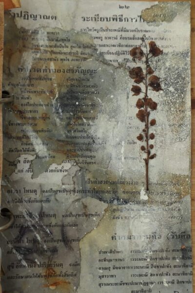 Junk journal cover with dried flower