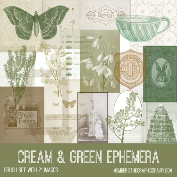 Vintage Cream and Green Ephemera Brush Set