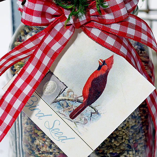 Homemade Gift Idea for Bird Lovers