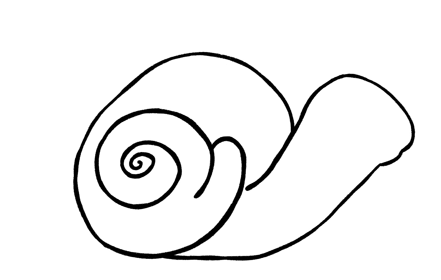 how to draw a shell