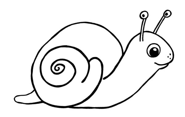 Snail Drawing {5 Easy Steps}! - The Graphics Fairy