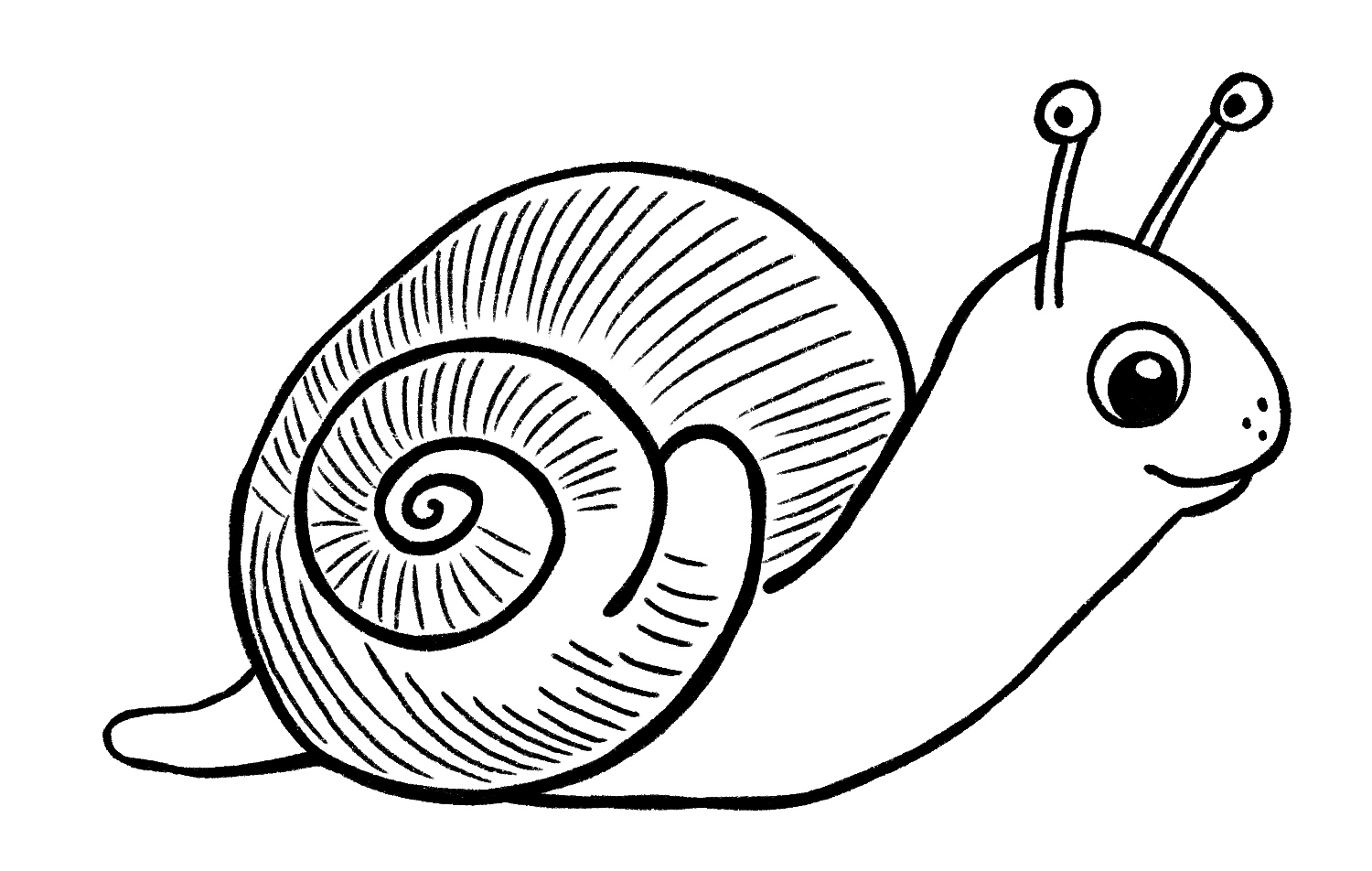 Snail Drawing {5 Easy Steps}! - The Graphics Fairy