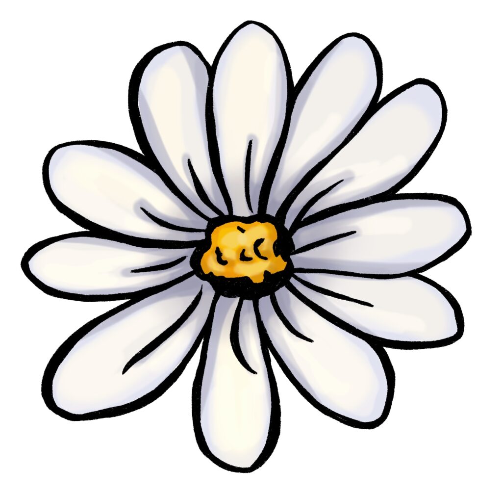 How to Draw a Daisy From Easy Simple Shapes