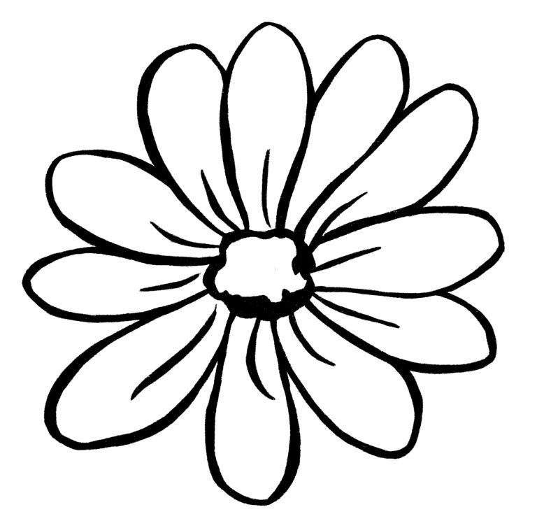 How to Make a Flower Drawing {5 Easy Steps}! - The Graphics Fairy