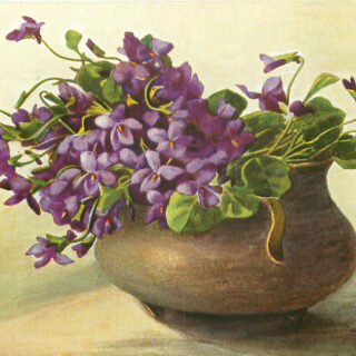 Violets Pot