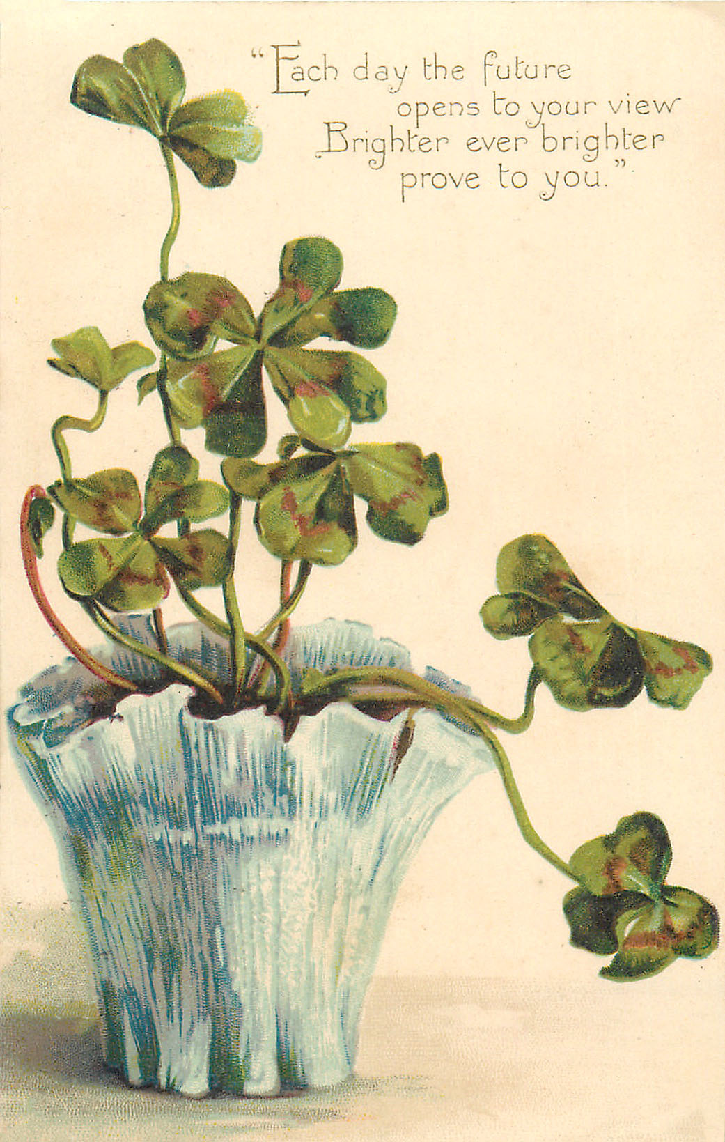 Clover Potted