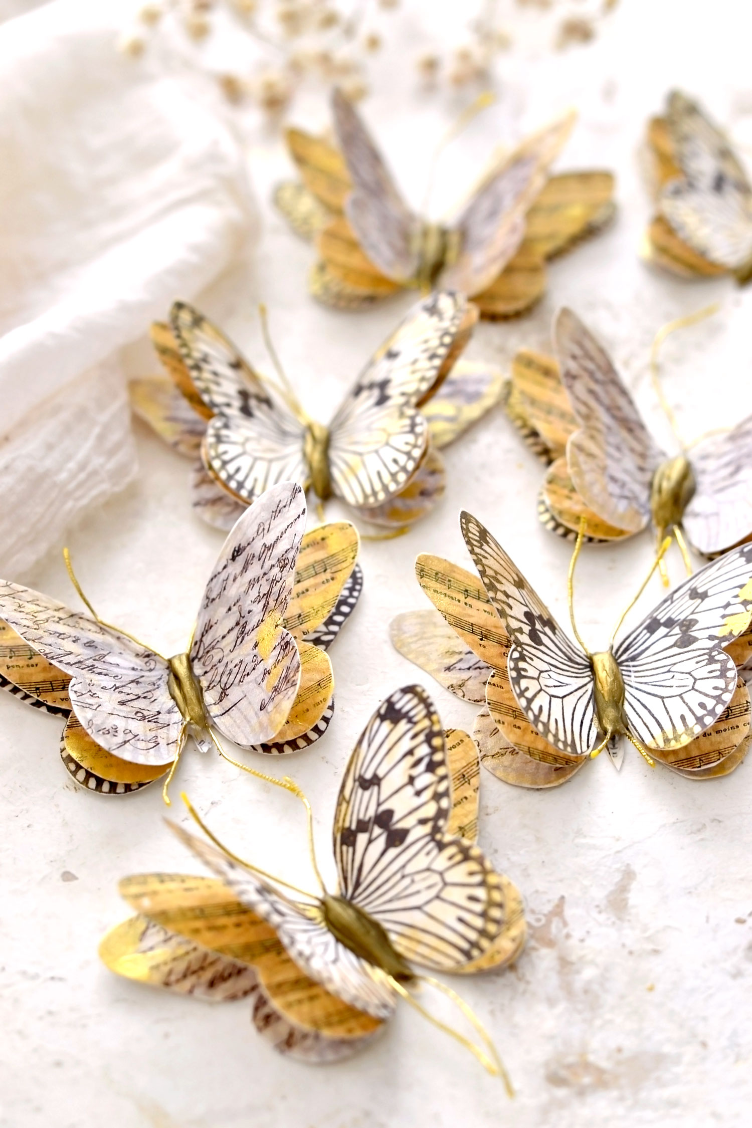 3d butterflies with gold touches 