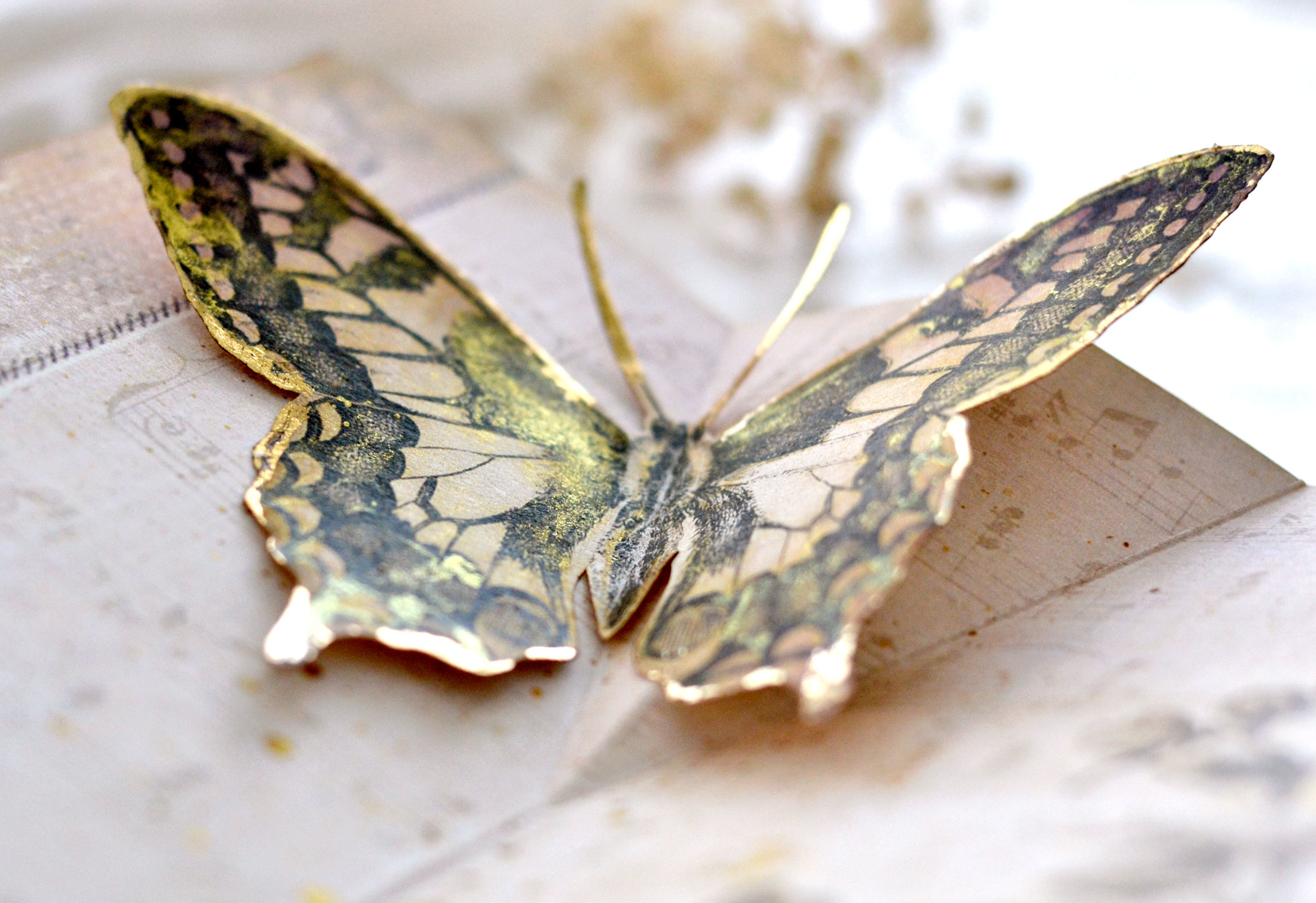 Gold foil butterfly details