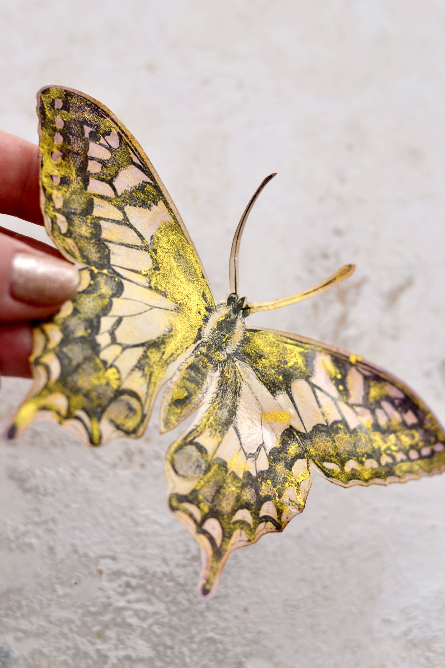 Gold painted butterfly