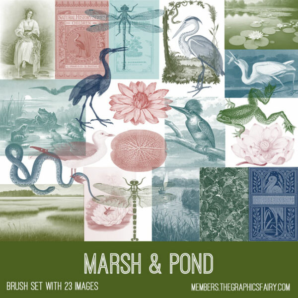 vintage Marsh and Pond ephemera brush set