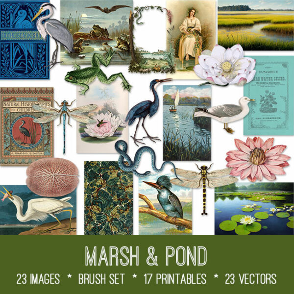 Marsh and Pond vintage images