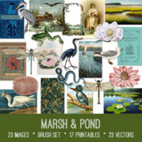 vintage Marsh and Pond ephemera bundle