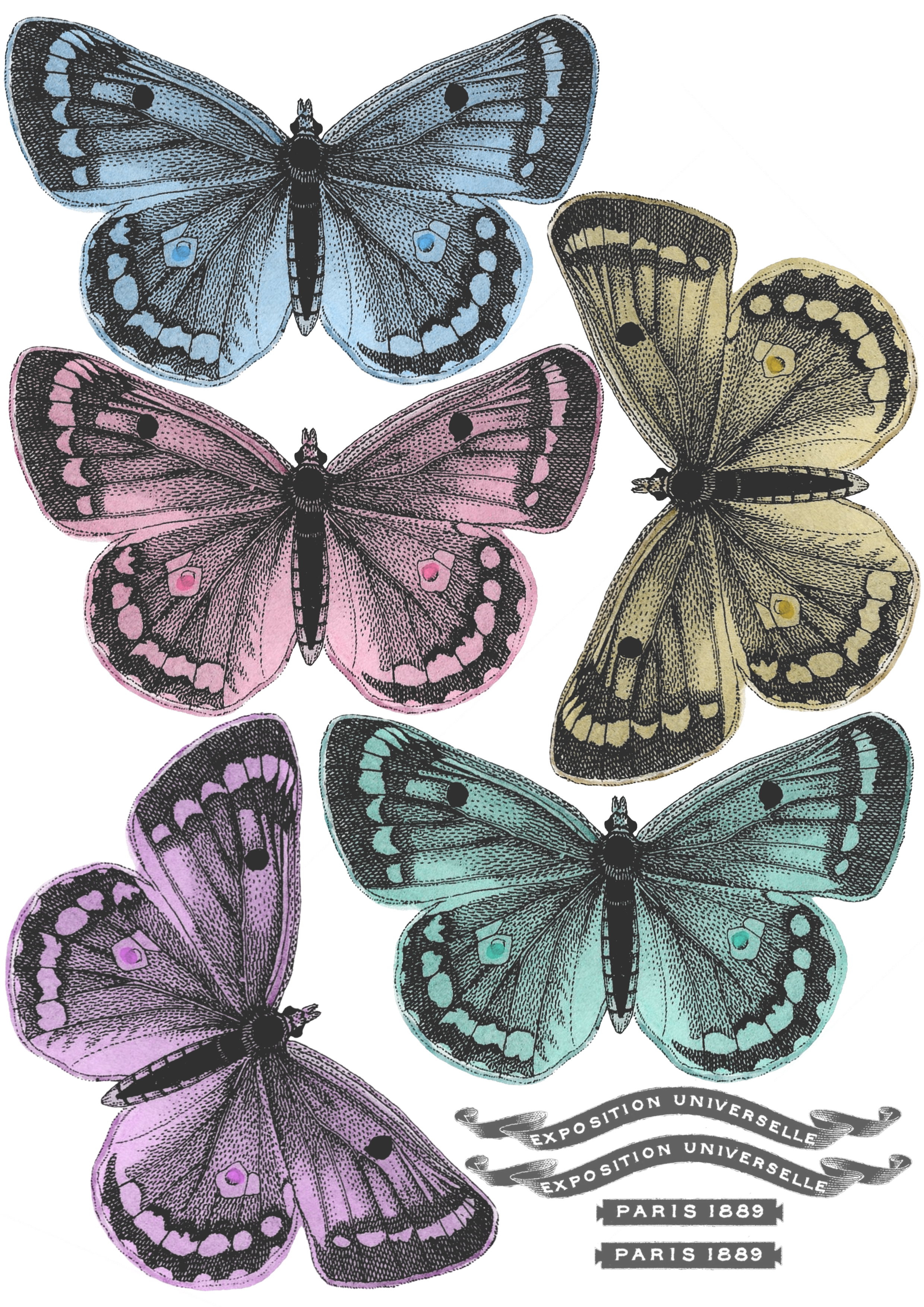 Colored Butterfly Box printable