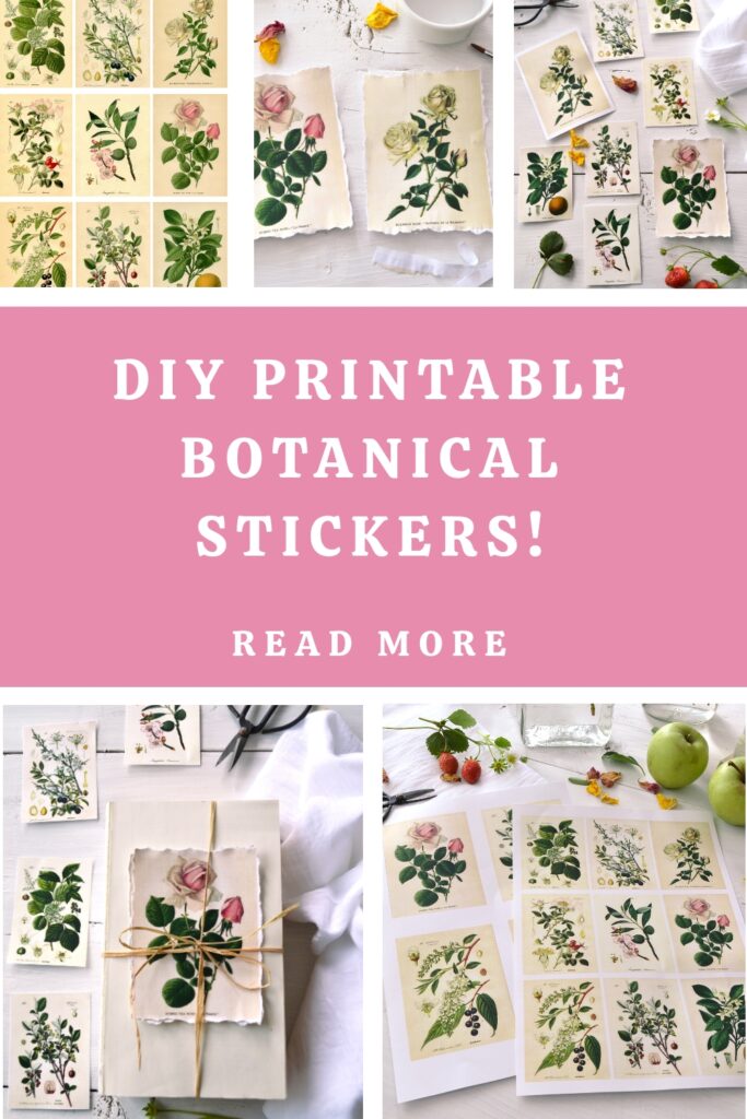 DIY Printable Botanical Stickers