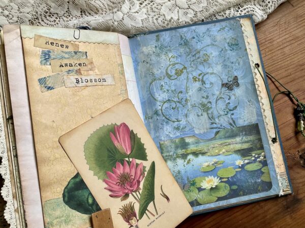 Water lily journal page