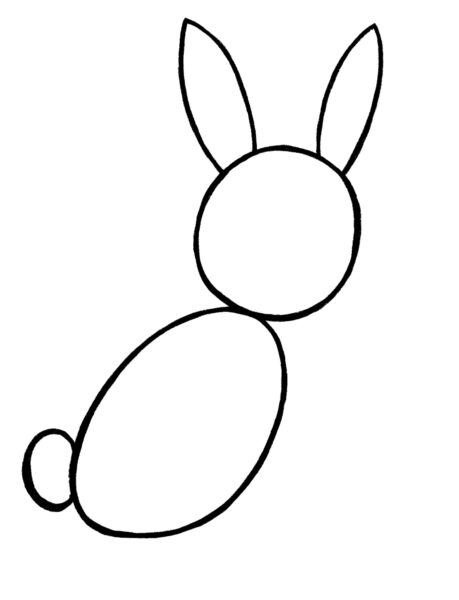 Adding Ears and Tail to the Bunny