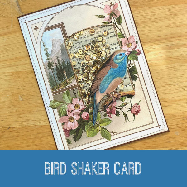 Bird Shaker Card Craft Tutorial