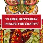 Free Butterfly Images for Crafts