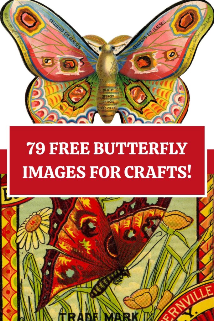 Free Butterfly Images for Crafts