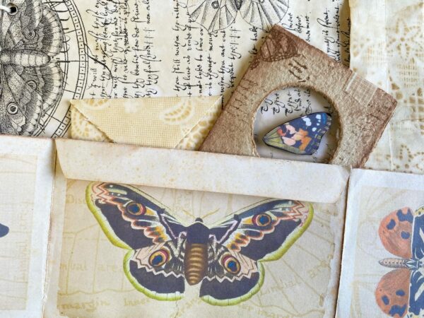 Butterfly print on vintage paper