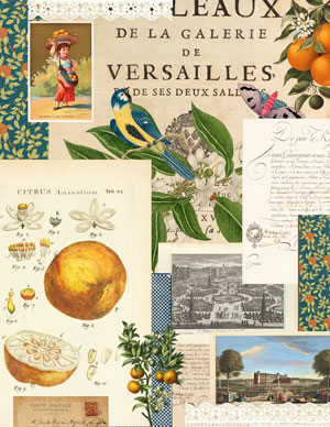 L'Orangerie printable collage paper