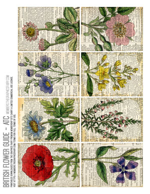 British Flower Guide assorted Artist Trade Card printables