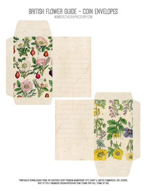 British Flower Guide assorted printable coin envelopes